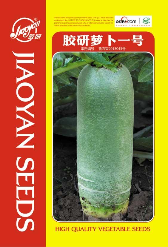   Jiaoyan Radish No.1——Radish